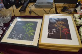 Modern Picture Frames