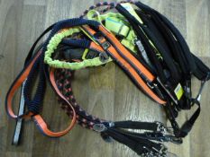 Ten Assorted Bungee, Trek, Ascent and Reflective L