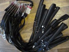 Seventeen Pet at Home Reflective Padded Leads (10