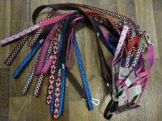 Fifteen Assorted Pets at Home Design Leads