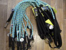 Sixteen Three Peaks Expedition Ascent Leads