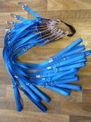 Seventeen Pet at Home Reflective Padded Leads (10