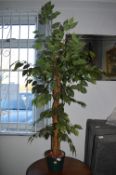Artificial Plant in Pot
