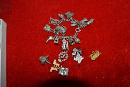 Charm Bracelet with Silver and Other Charms