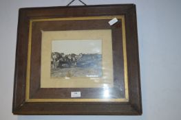 Victorian Framed Photograph of a Prize Winning Hor