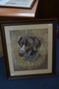 Pastel Portrait of a Pointer by E. Jones