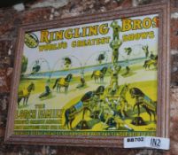 1 x Framed Circus Picture - Ringling Bros Worlds Greatest Shows - The Lorch Family Europes Greatest