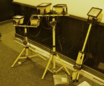 1 x Portable Flood/Work Lights - Ref: J2142/MCR - CL356 - Location: Middleton, M24