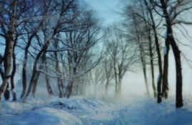 1 x Snowy Path Banner By KSD - Product Number 669531 - Size 270 x 180 cms - Unused in Original