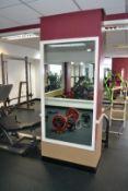 2 x Gym/Dance Room Mirrors - Dimensions:H160 x L82cm - Ref: J2110/GFG - CL356 - Location: Middleton,