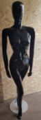 1 x 6ft Female Shop&nbsp;Mannequin With A Gloss Black Finish&nbsp;- Ref BY292 - Dimensions: H183/L40