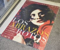 1 x Spanish Movie Poster - BROKEN EMBRACES - Los Abrazos Rotos - Starring Penélope Cruz, Lluís Homar