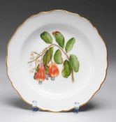 Teller mit botanischer MalereiWeiß, glasiert. Form 