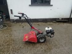 Benassi Petrol Rotavator