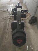 Ziva Olympic Plates on Weight Tree