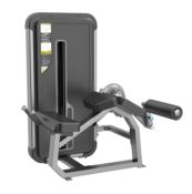DHZ Evost Prone Leg Curl (E3001A)