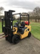 Cat Forklift LPG Gas