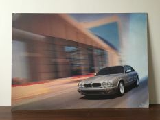 Jaguar Day Time Action Print