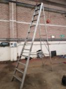 13 Step Alluminium Ladder