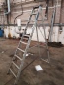 10 Step Alluminium Ladders