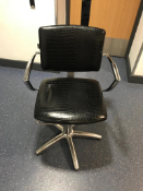 Black Leather Snake Skin Hairdressing / Barber's Chair