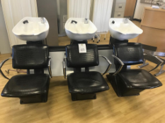 Triple Hair Wash Basin Station