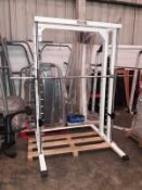 Technogym Multi Power Smith Machine