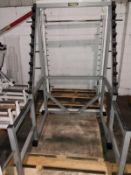 Technogym Squat Rack