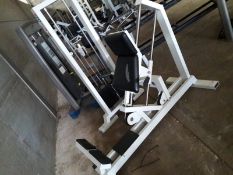 Panatta Calf Squat Press