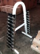 Technogym 1-10kg Chrome Dumbbells with Rack