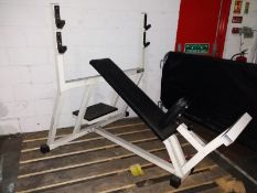 Technogym Executive Line Incline Bench Press