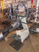 Technogym Step XT