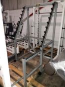 Technogym Squat Rack