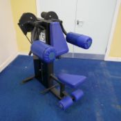 Pulse Fitness Delt Raise