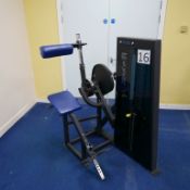 Pulse Fitness Back Extension