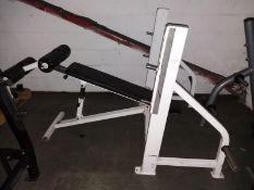 Heavy Duty Decline Bench Press