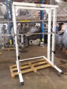Technogym Smith Machine.