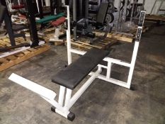 Technogym flat bench press.