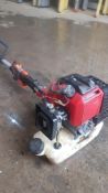 2x BC520 Extendable Hedge Trimmers