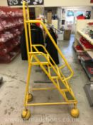 Step and store ladder