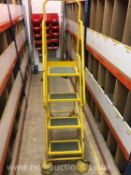 ** NO RESERVE **Step and store ladder