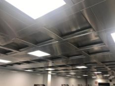 Stainless Steal Extraction Ceiling