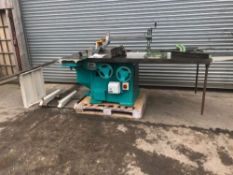 Wadkin PP saw with DC braking extension table & outrig sliding table