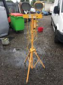 110v Twin Light With Various 110v Extensions