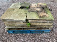 Pallet of Indian Stone see photos