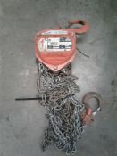 1-ton chain hoist