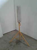 Fluorescent light 110 V