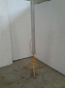 Flashing light 110 V