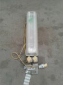 Plasterer light 110 V