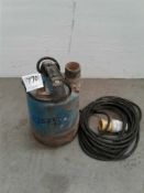submersible pump 110 V